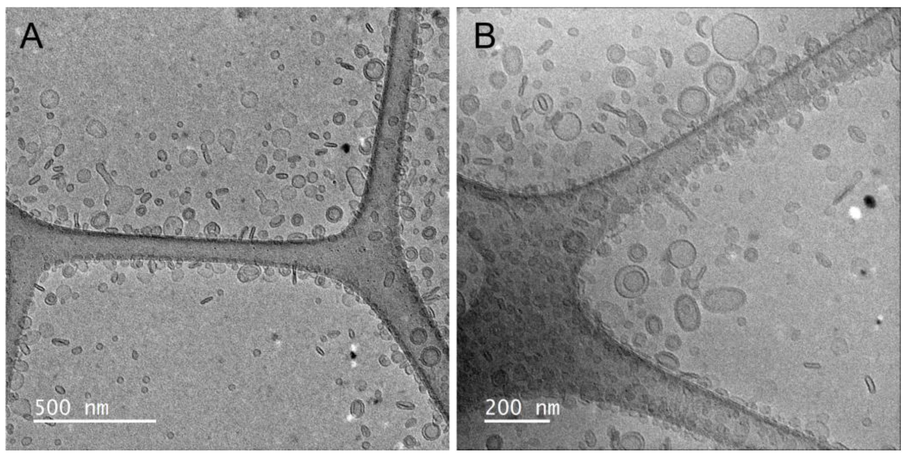Pharmaceutics 15 01063 g002