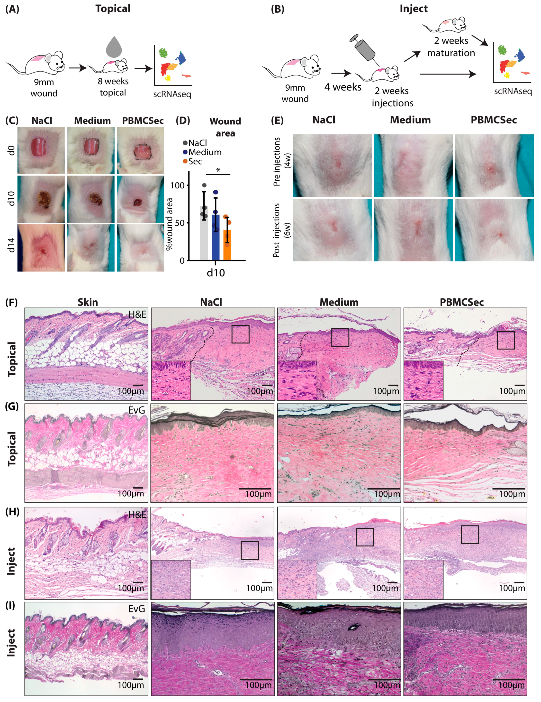 Pharmaceutics 15 01065 g001 Pharmaceutics 15 01065 g001