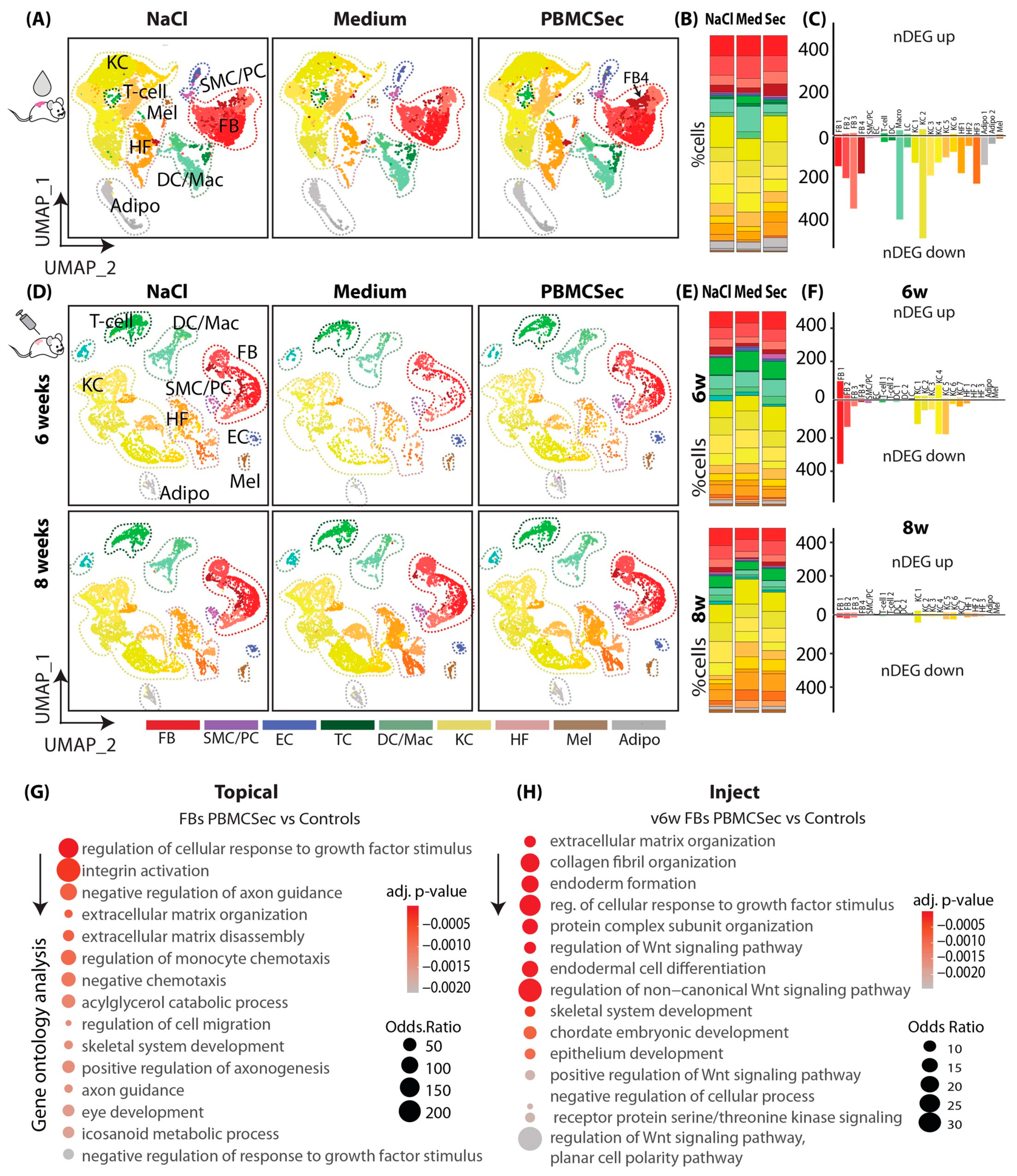 Pharmaceutics 15 01065 g002 Pharmaceutics 15 01065 g002