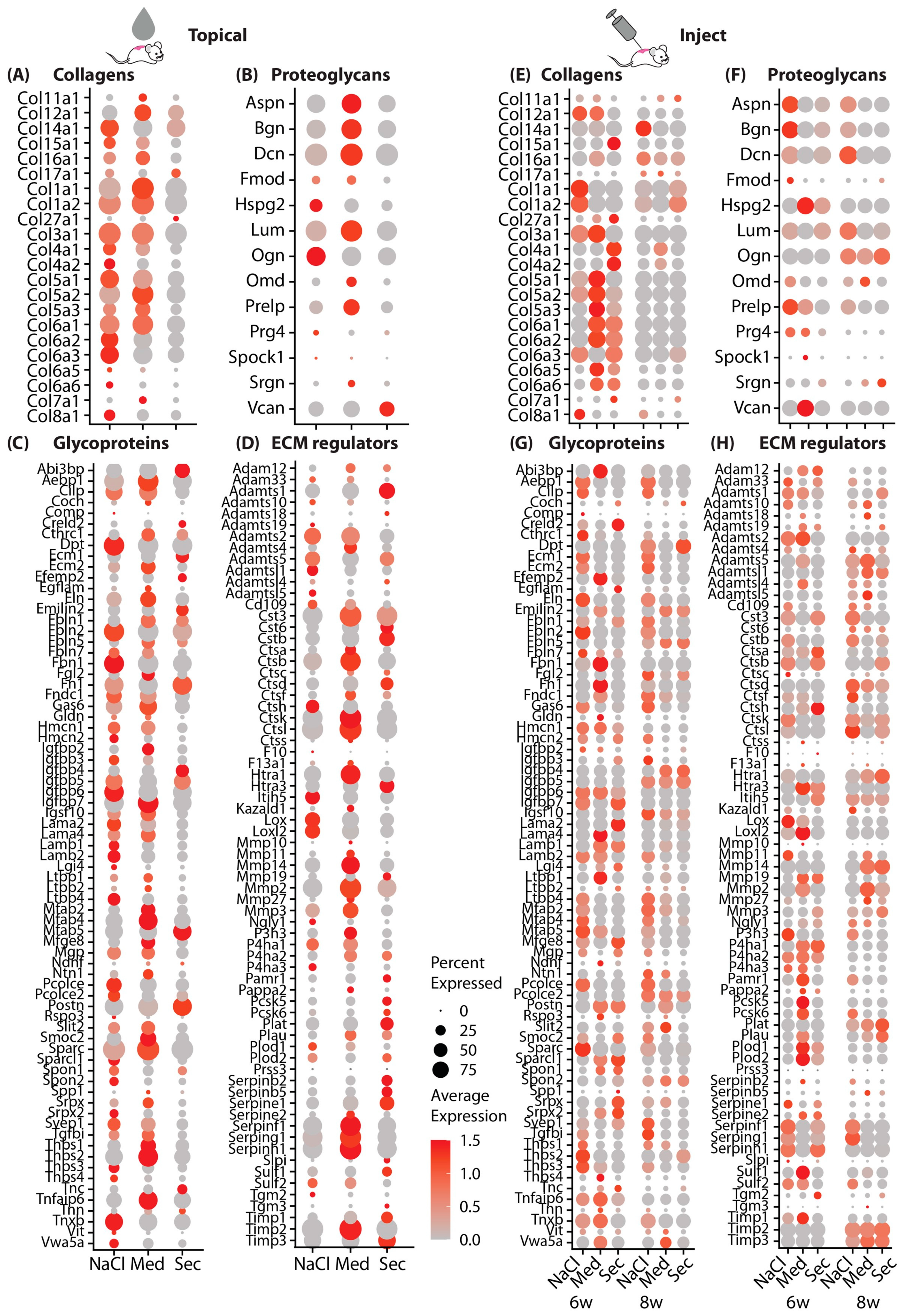 Pharmaceutics 15 01065 g003 Pharmaceutics 15 01065 g003