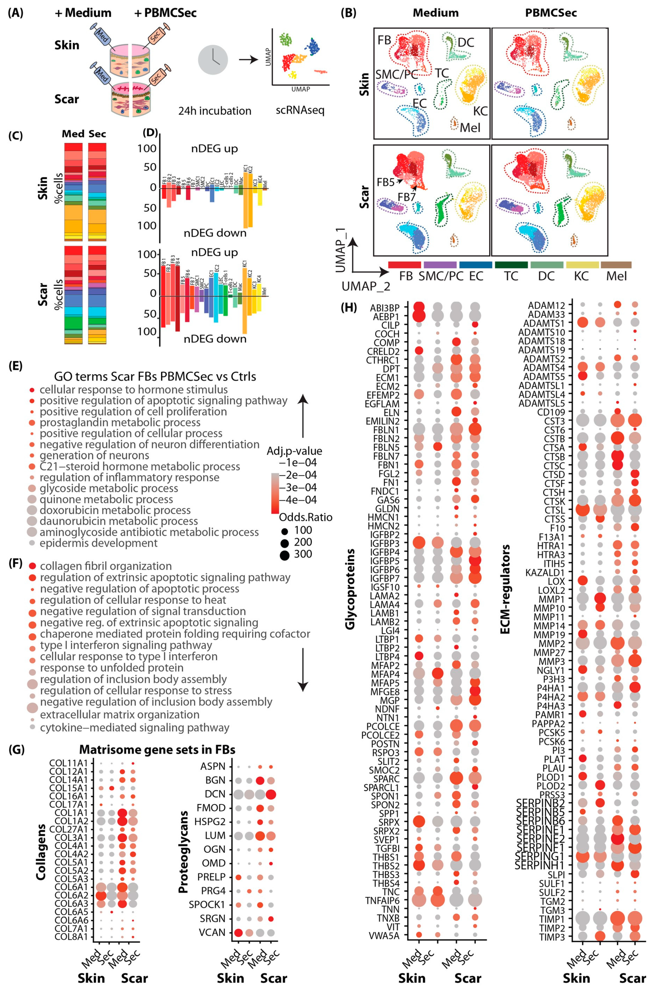 Pharmaceutics 15 01065 g004 Pharmaceutics 15 01065 g004