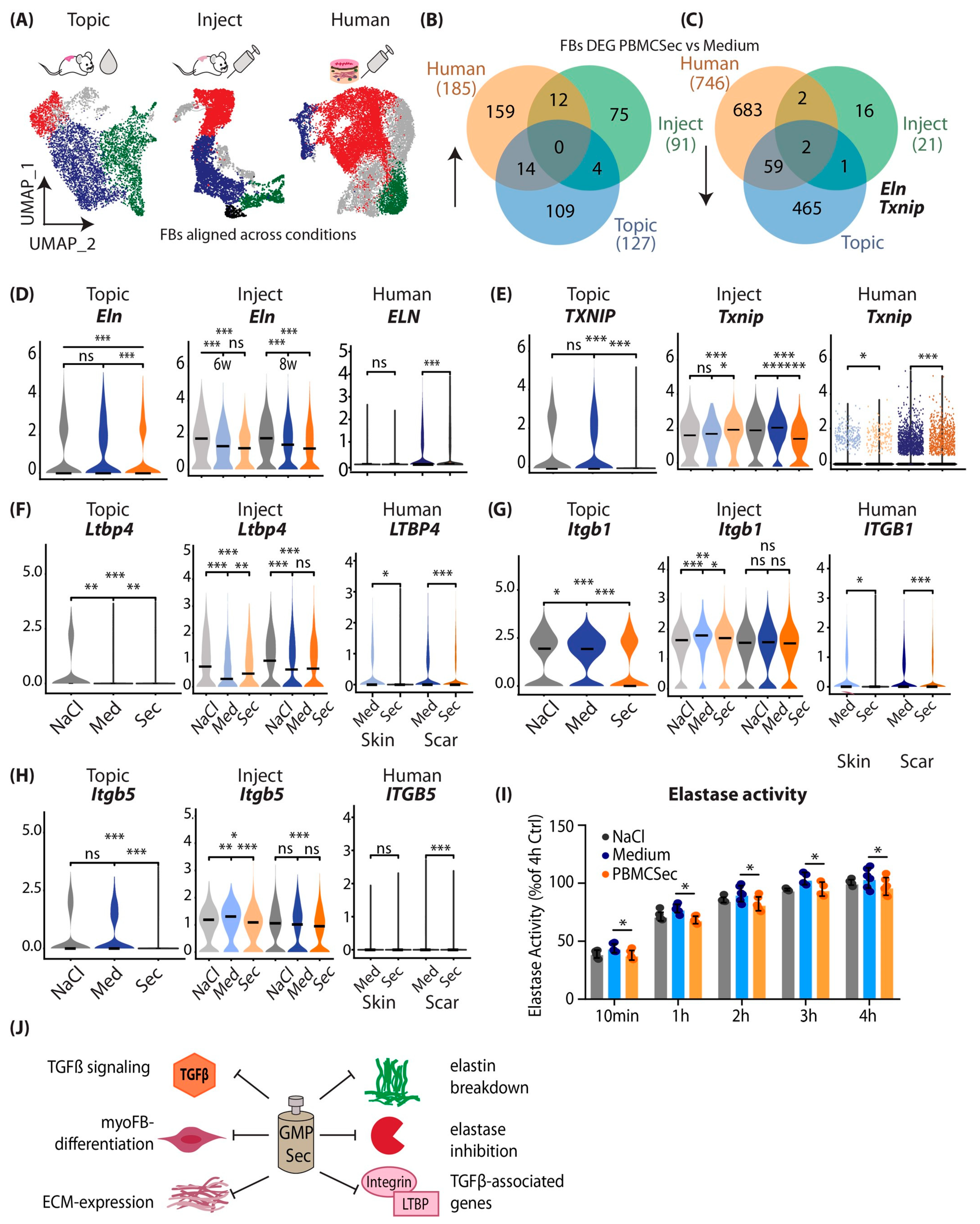 Pharmaceutics 15 01065 g006 Pharmaceutics 15 01065 g006