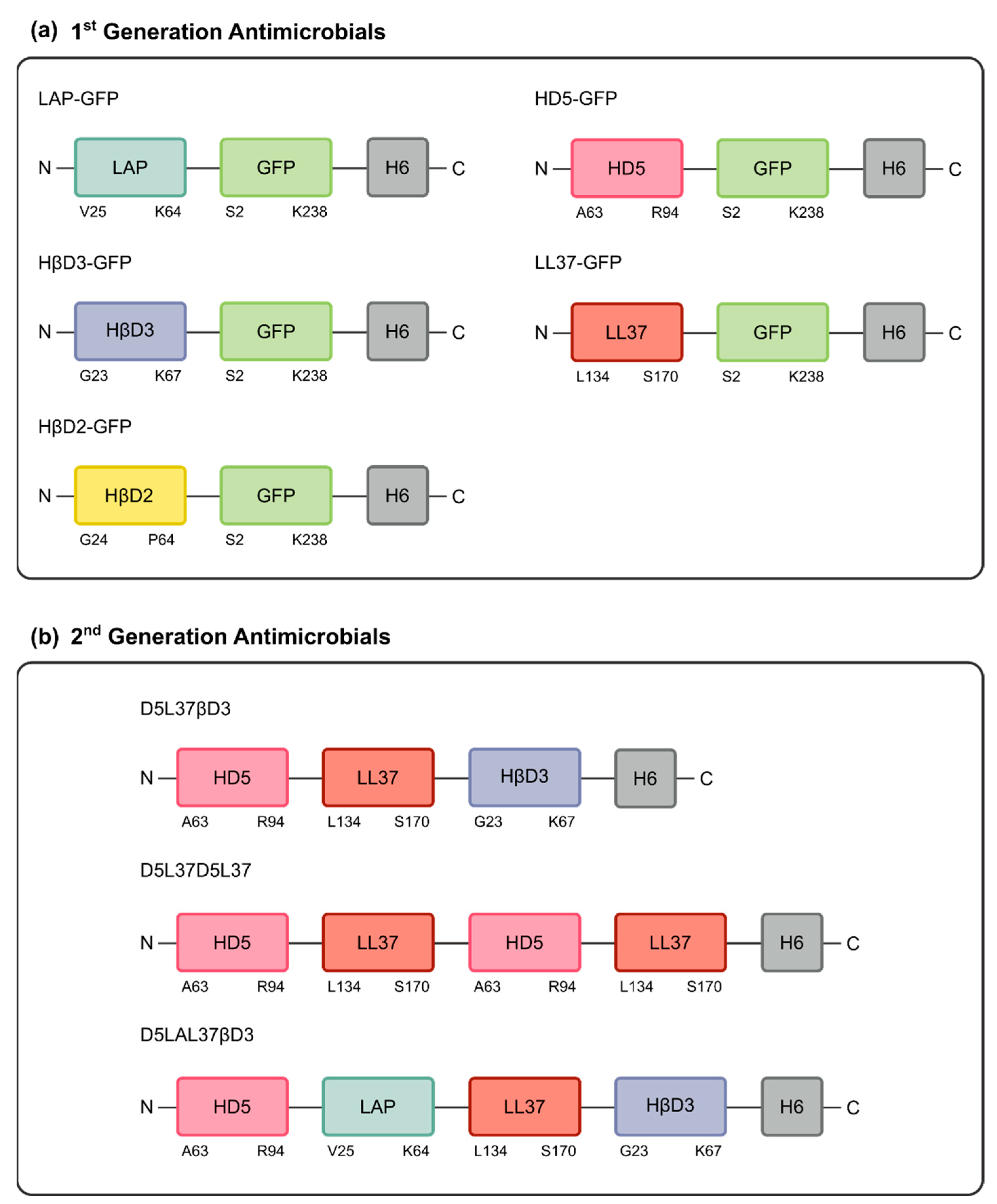 Pharmaceutics 15 01068 g002 Pharmaceutics 15 01068 g002