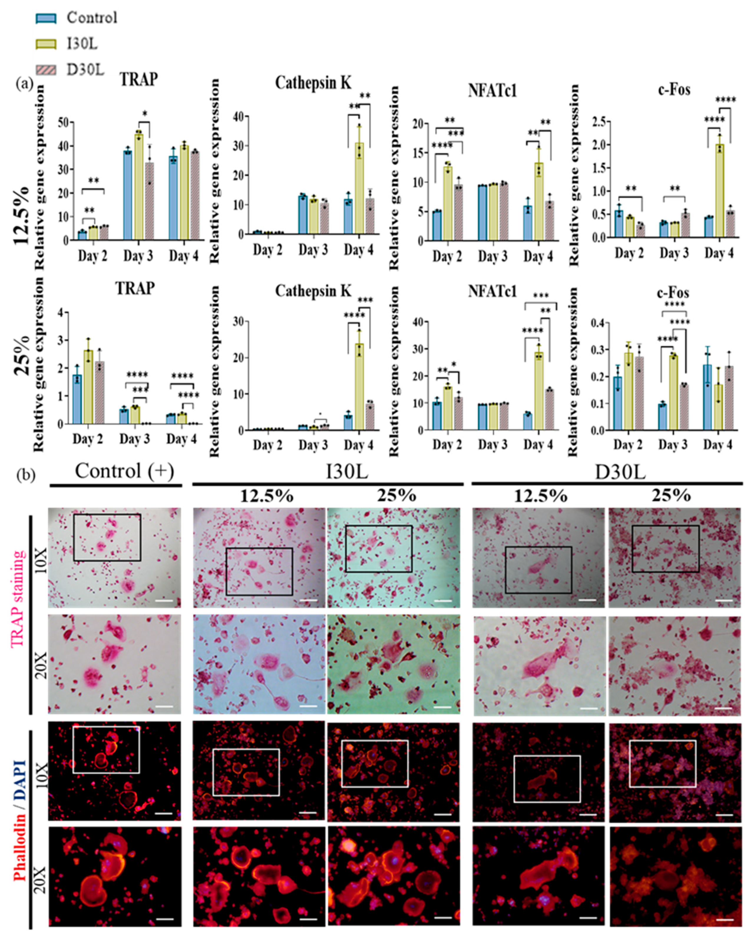 Pharmaceutics 15 01072 g005