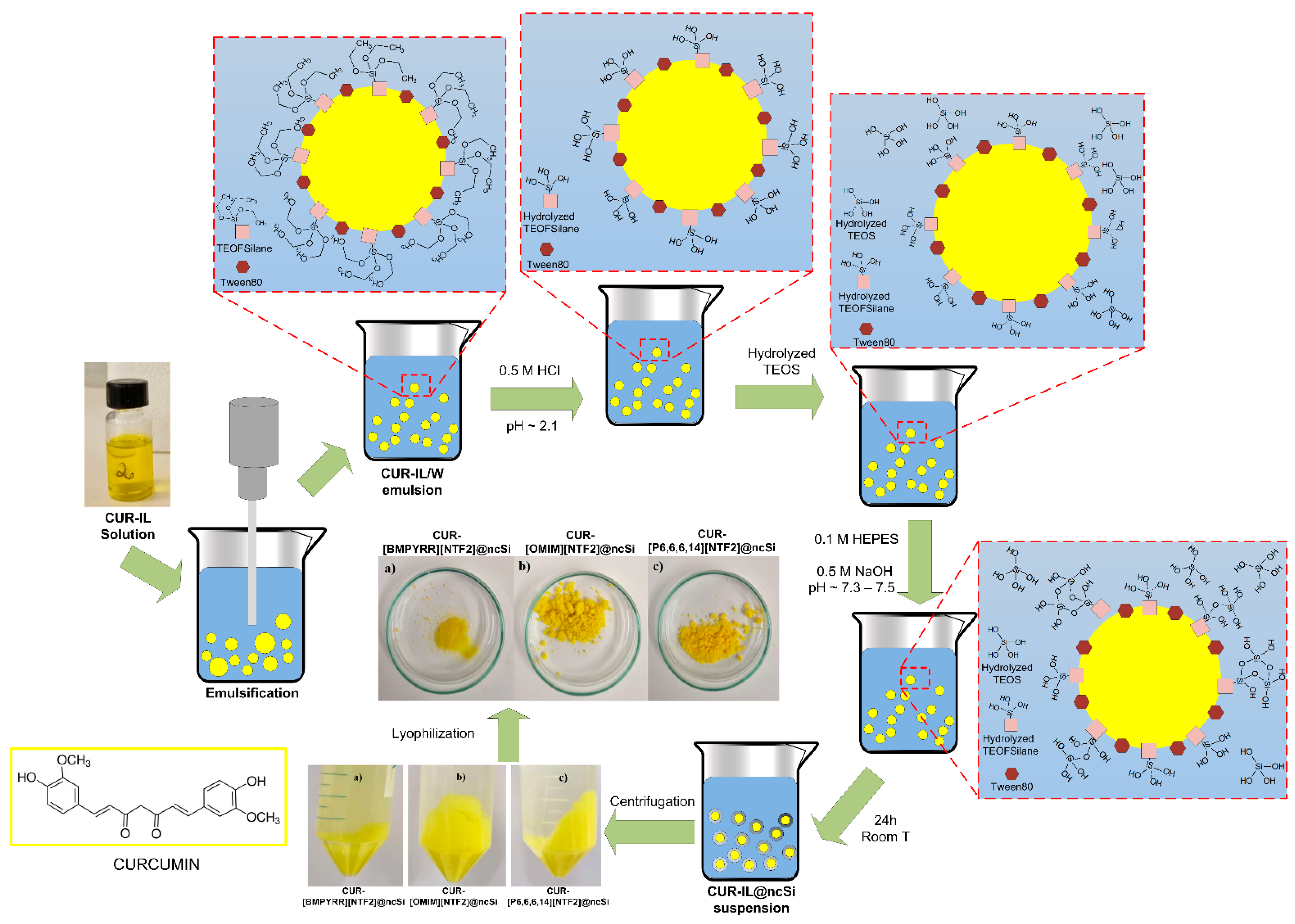Pharmaceutics 15 01080 g001