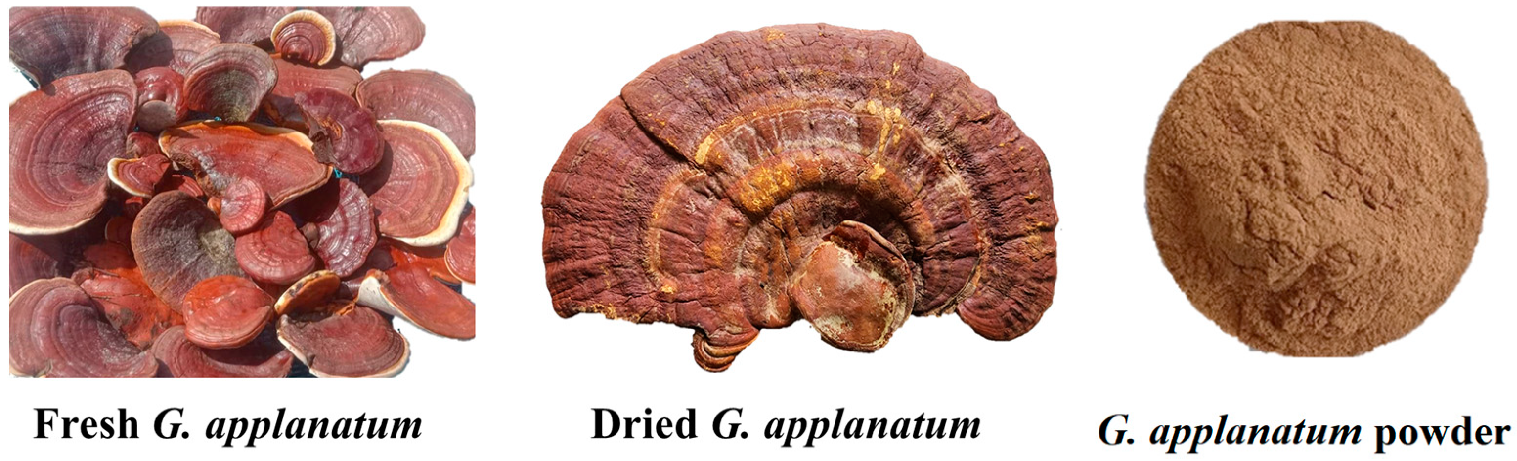 Pharmaceutics 15 01098 g001