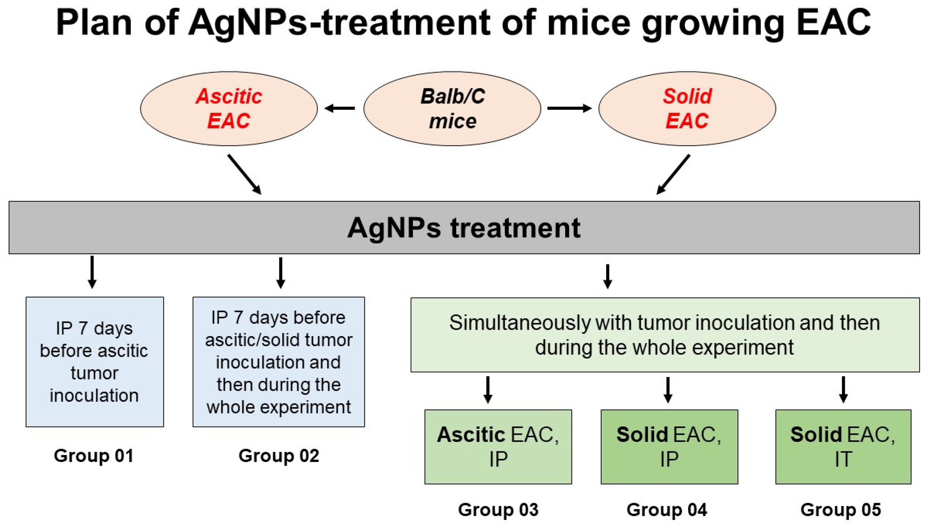 Pharmaceutics 15 01099 g004