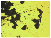 Pharmaceutics 15 01102 i001 Pharmaceutics 15 01102 i001