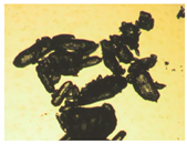 Pharmaceutics 15 01102 i003 Pharmaceutics 15 01102 i003