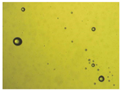 Pharmaceutics 15 01102 i005 Pharmaceutics 15 01102 i005