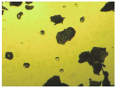 Pharmaceutics 15 01102 i006 Pharmaceutics 15 01102 i006