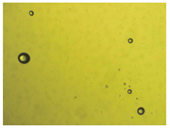 Pharmaceutics 15 01102 i009 Pharmaceutics 15 01102 i009