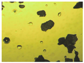 Pharmaceutics 15 01102 i010 Pharmaceutics 15 01102 i010