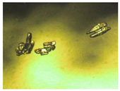 Pharmaceutics 15 01102 i012 Pharmaceutics 15 01102 i012