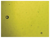 Pharmaceutics 15 01102 i013 Pharmaceutics 15 01102 i013