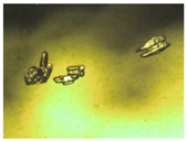 Pharmaceutics 15 01102 i016 Pharmaceutics 15 01102 i016