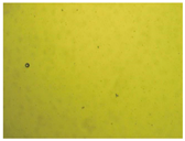 Pharmaceutics 15 01102 i017 Pharmaceutics 15 01102 i017