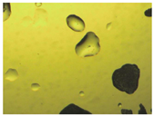 Pharmaceutics 15 01102 i020 Pharmaceutics 15 01102 i020