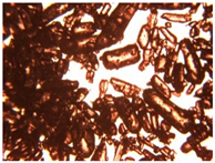 Pharmaceutics 15 01102 i022 Pharmaceutics 15 01102 i022