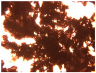 Pharmaceutics 15 01102 i023 Pharmaceutics 15 01102 i023