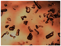 Pharmaceutics 15 01102 i025 Pharmaceutics 15 01102 i025