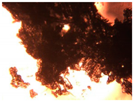 Pharmaceutics 15 01102 i026 Pharmaceutics 15 01102 i026