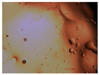 Pharmaceutics 15 01102 i027 Pharmaceutics 15 01102 i027