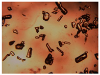 Pharmaceutics 15 01102 i028 Pharmaceutics 15 01102 i028