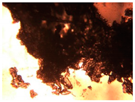 Pharmaceutics 15 01102 i029 Pharmaceutics 15 01102 i029