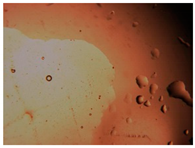 Pharmaceutics 15 01102 i030 Pharmaceutics 15 01102 i030