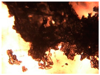 Pharmaceutics 15 01102 i032 Pharmaceutics 15 01102 i032