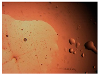 Pharmaceutics 15 01102 i033 Pharmaceutics 15 01102 i033