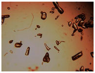 Pharmaceutics 15 01102 i034 Pharmaceutics 15 01102 i034