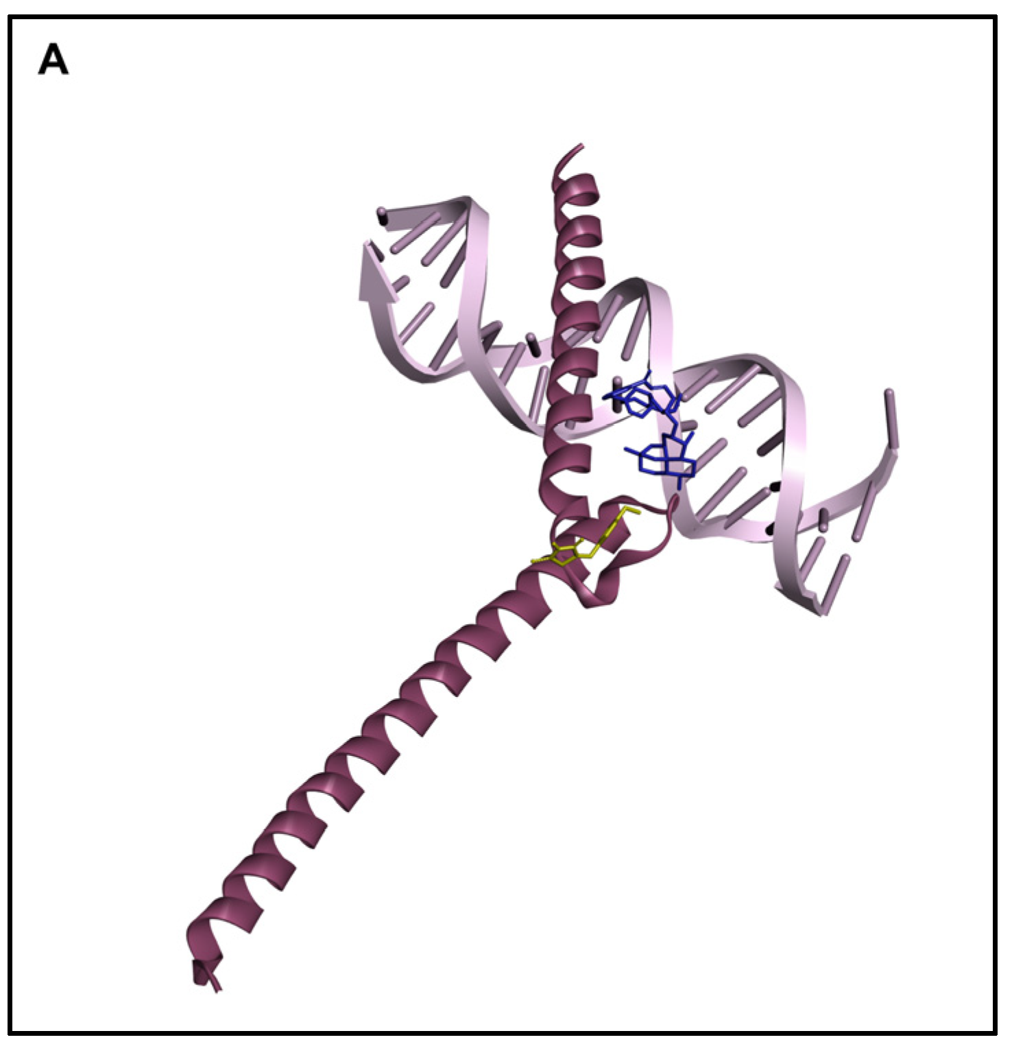 Pharmaceutics 15 01107 g002a