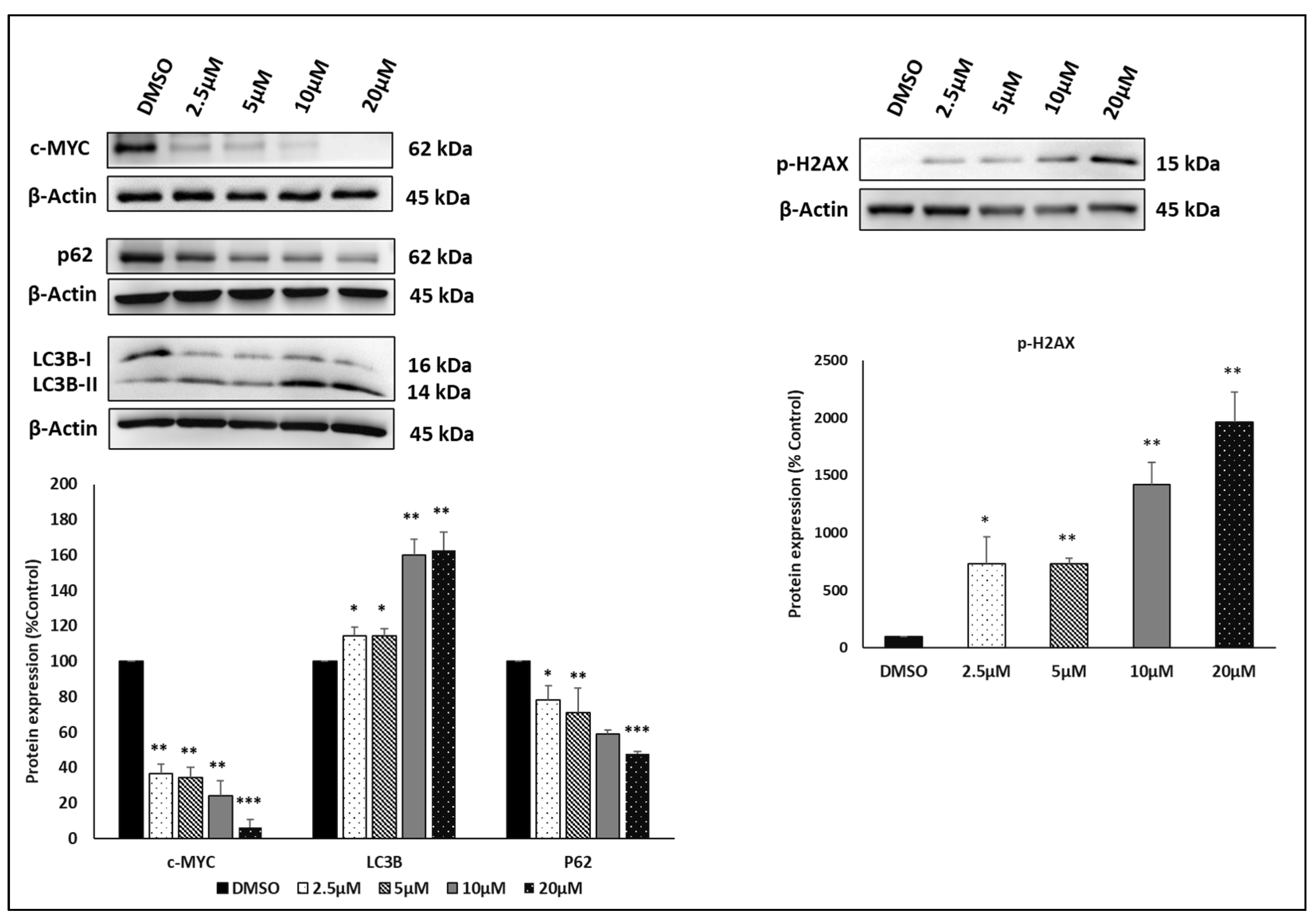 Pharmaceutics 15 01107 g008