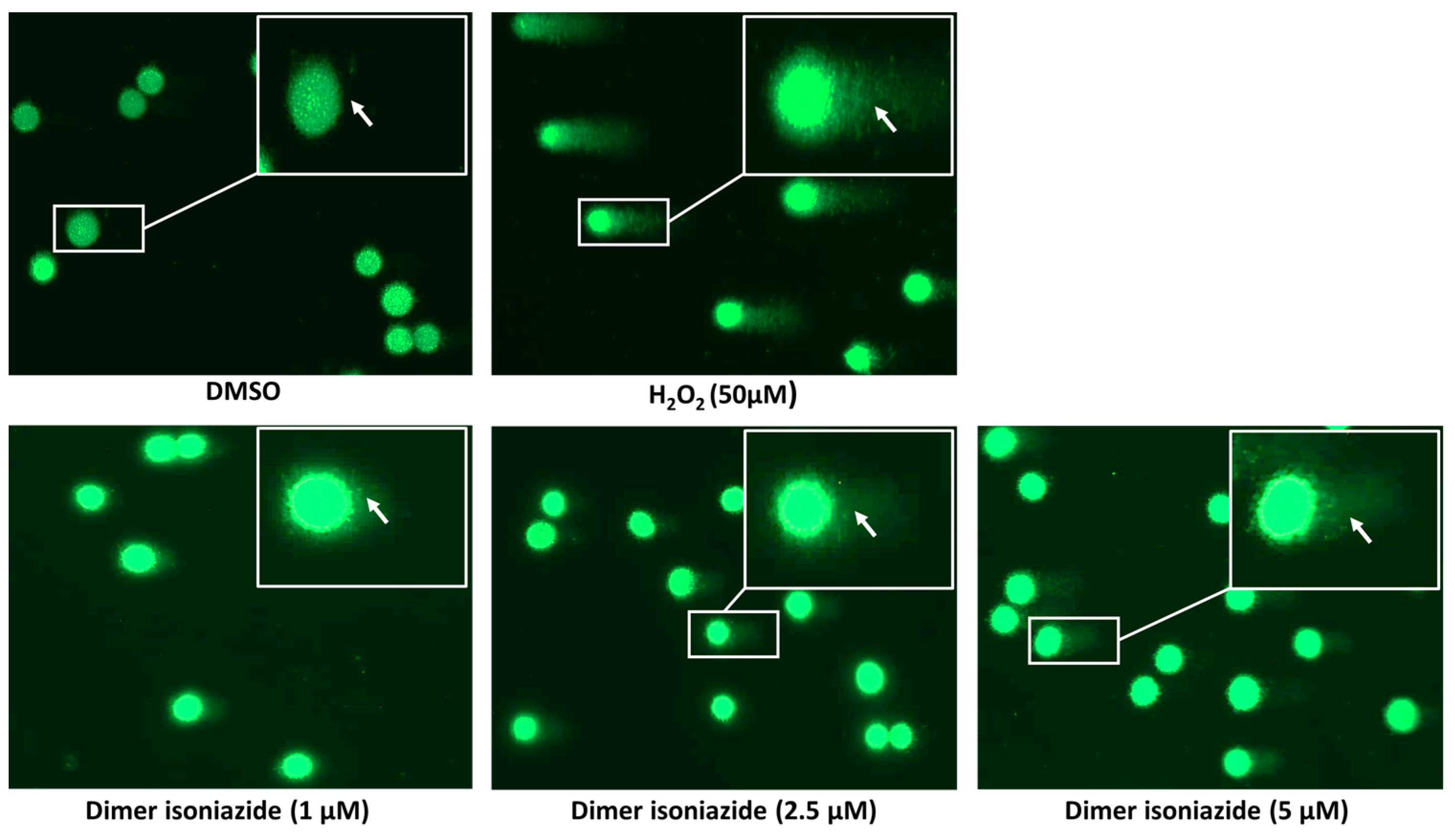 Pharmaceutics 15 01107 g009a