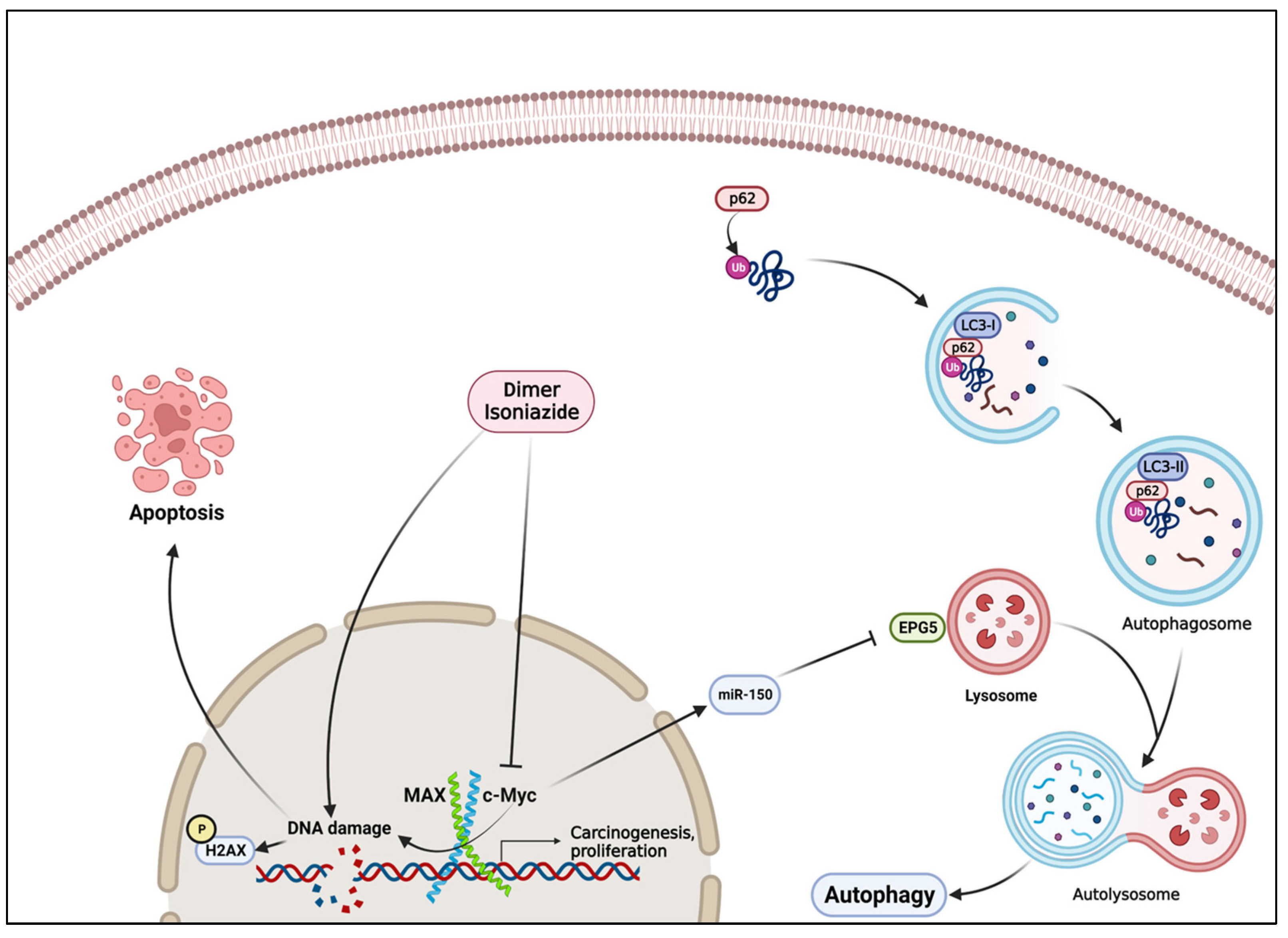 Pharmaceutics 15 01107 g010