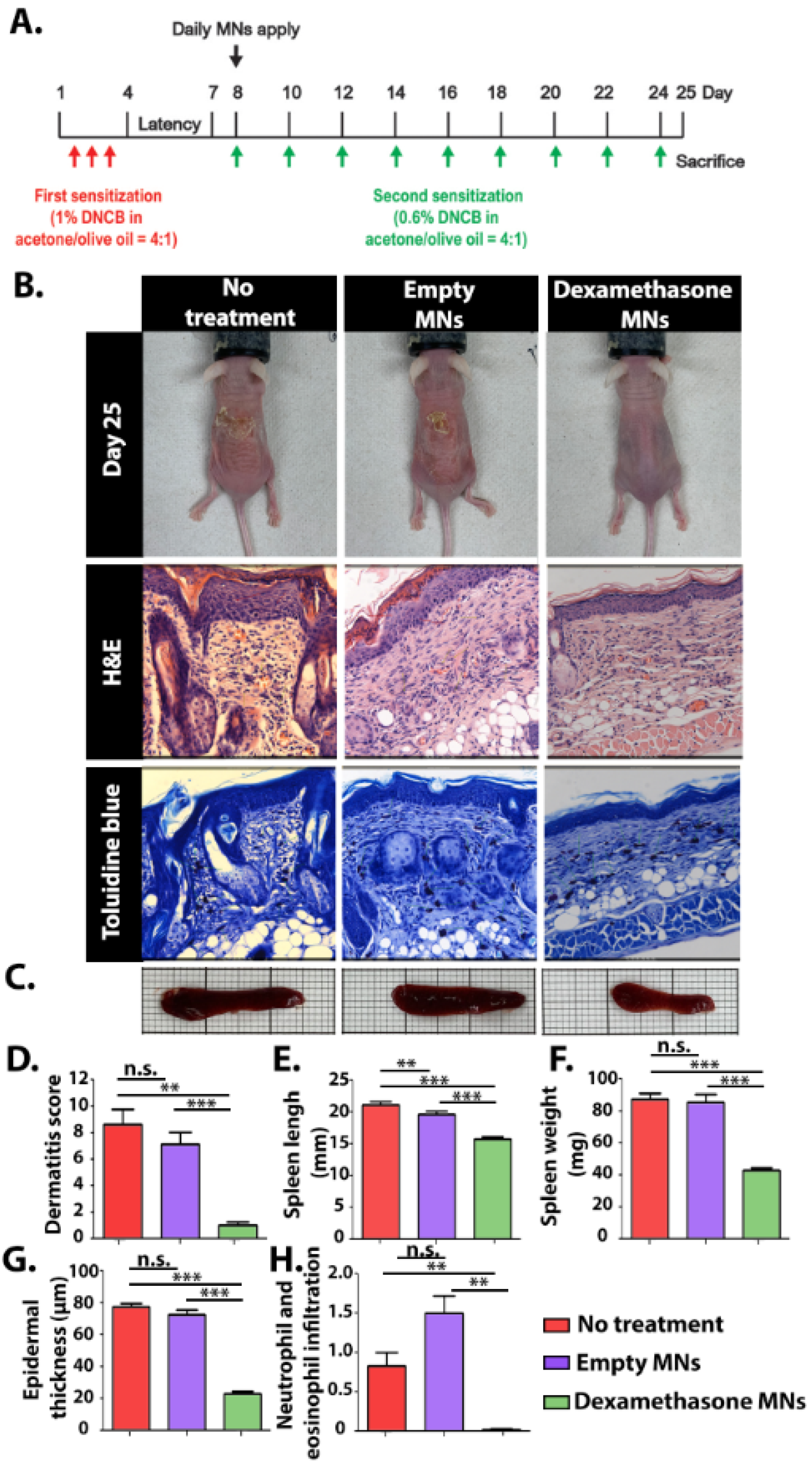 Pharmaceutics 15 01109 g005