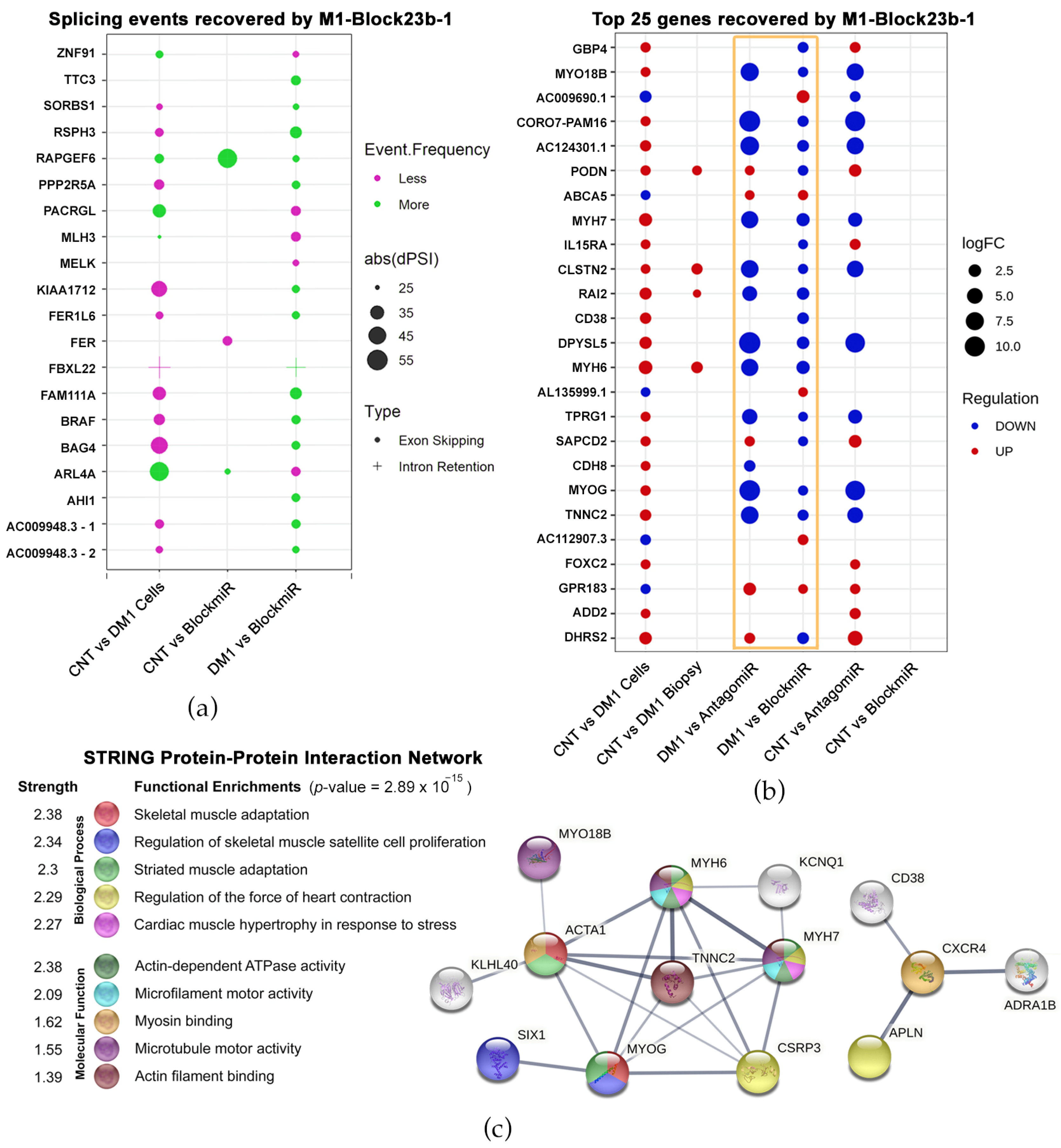 Pharmaceutics 15 01118 g003