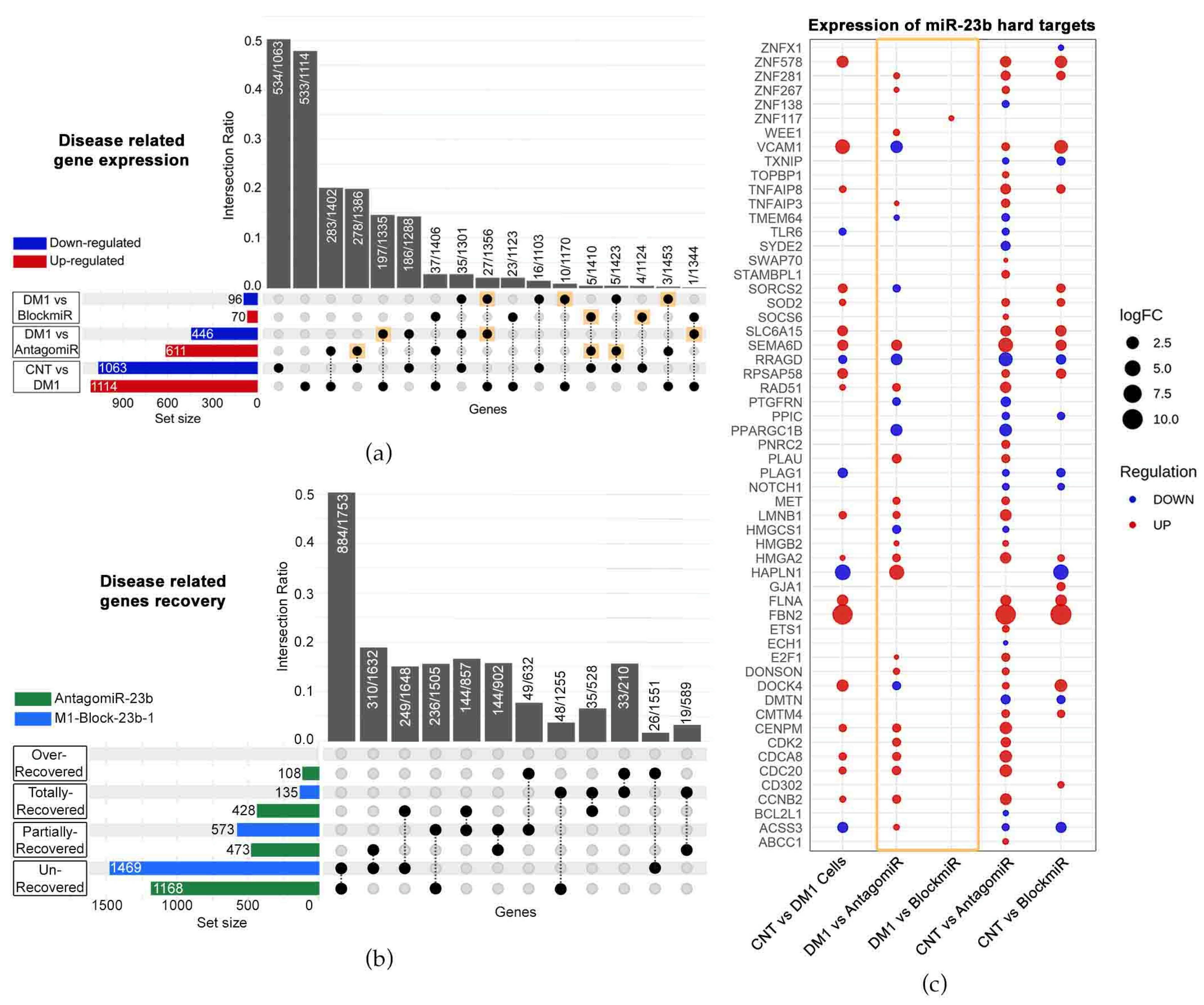 Pharmaceutics 15 01118 g004