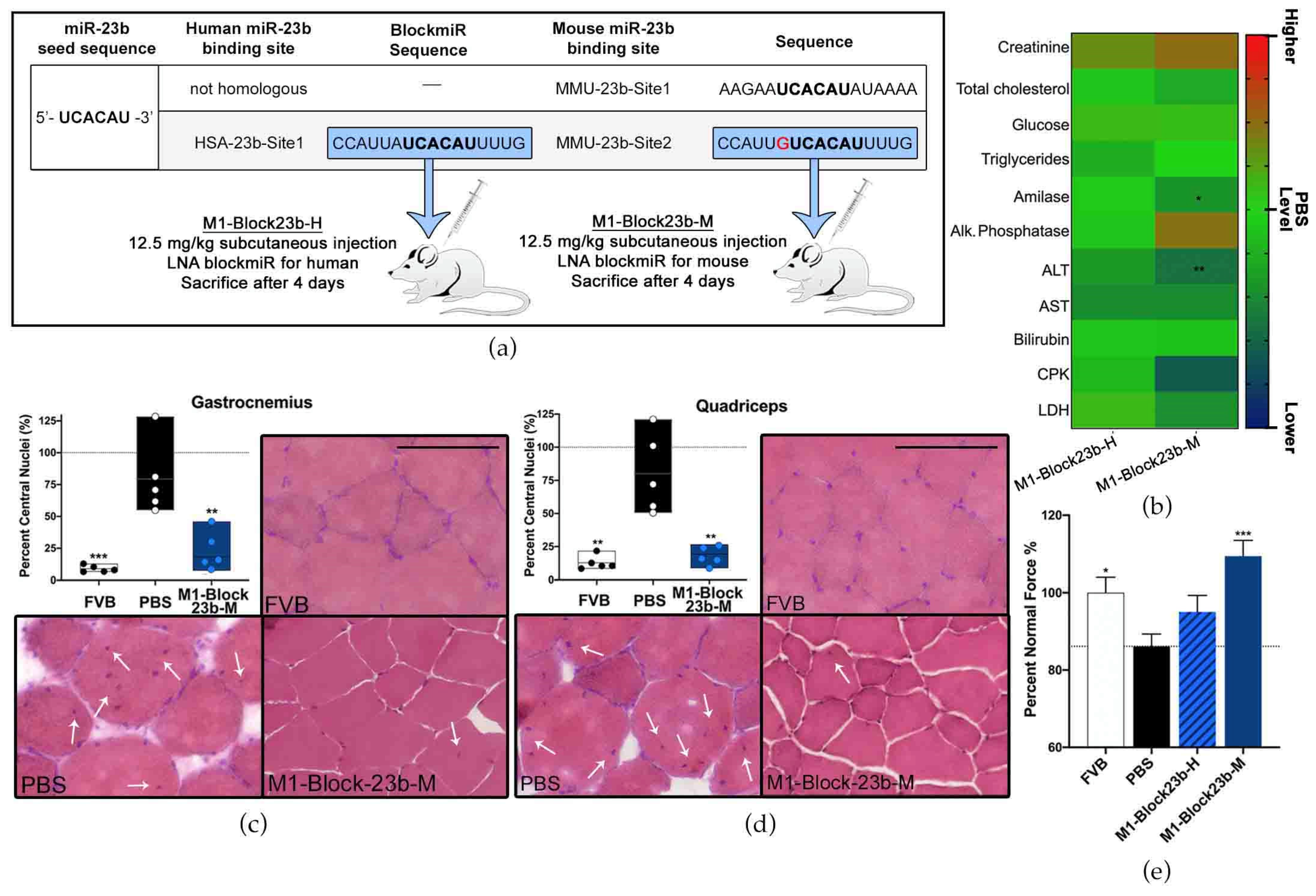 Pharmaceutics 15 01118 g005
