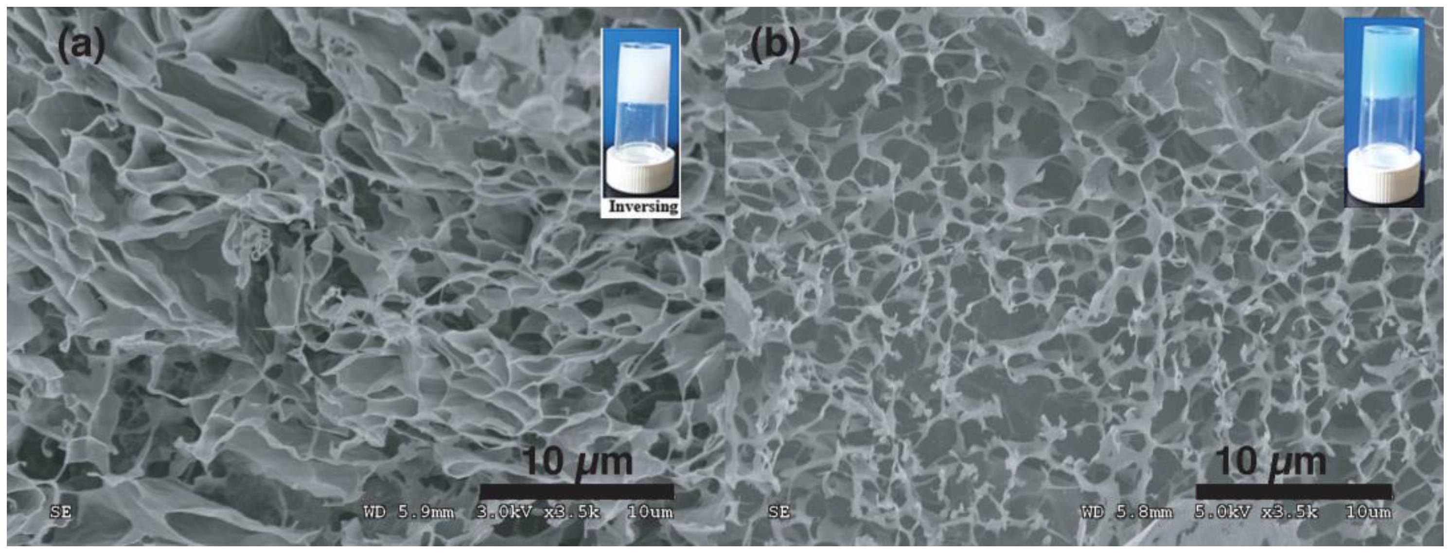 Pharmaceutics 15 01119 g005