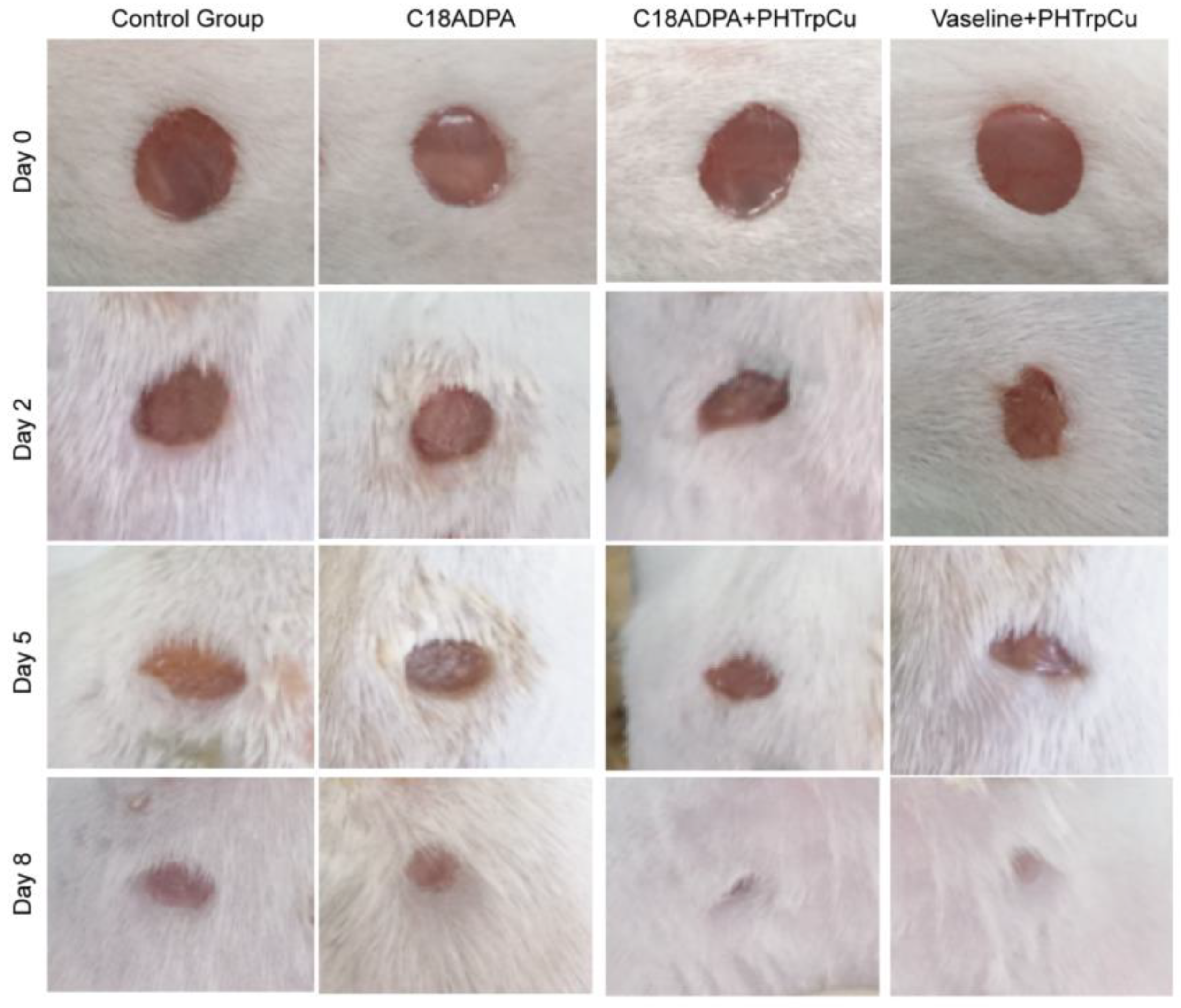 Pharmaceutics 15 01119 g008