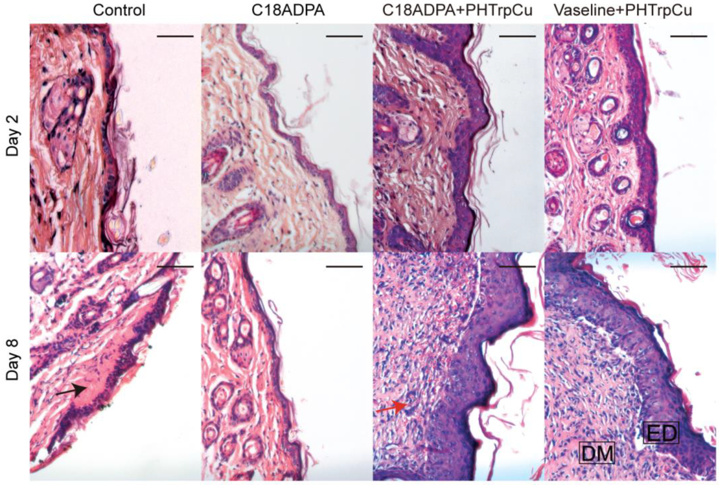 Pharmaceutics 15 01119 g010