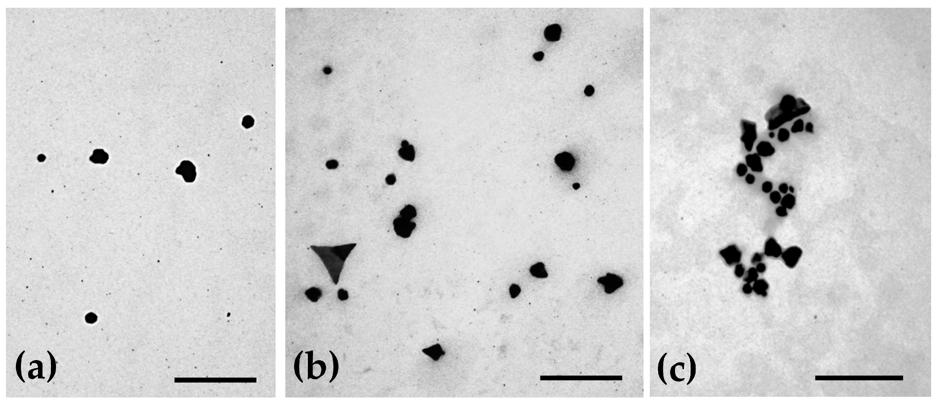 Pharmaceutics 15 01120 g002