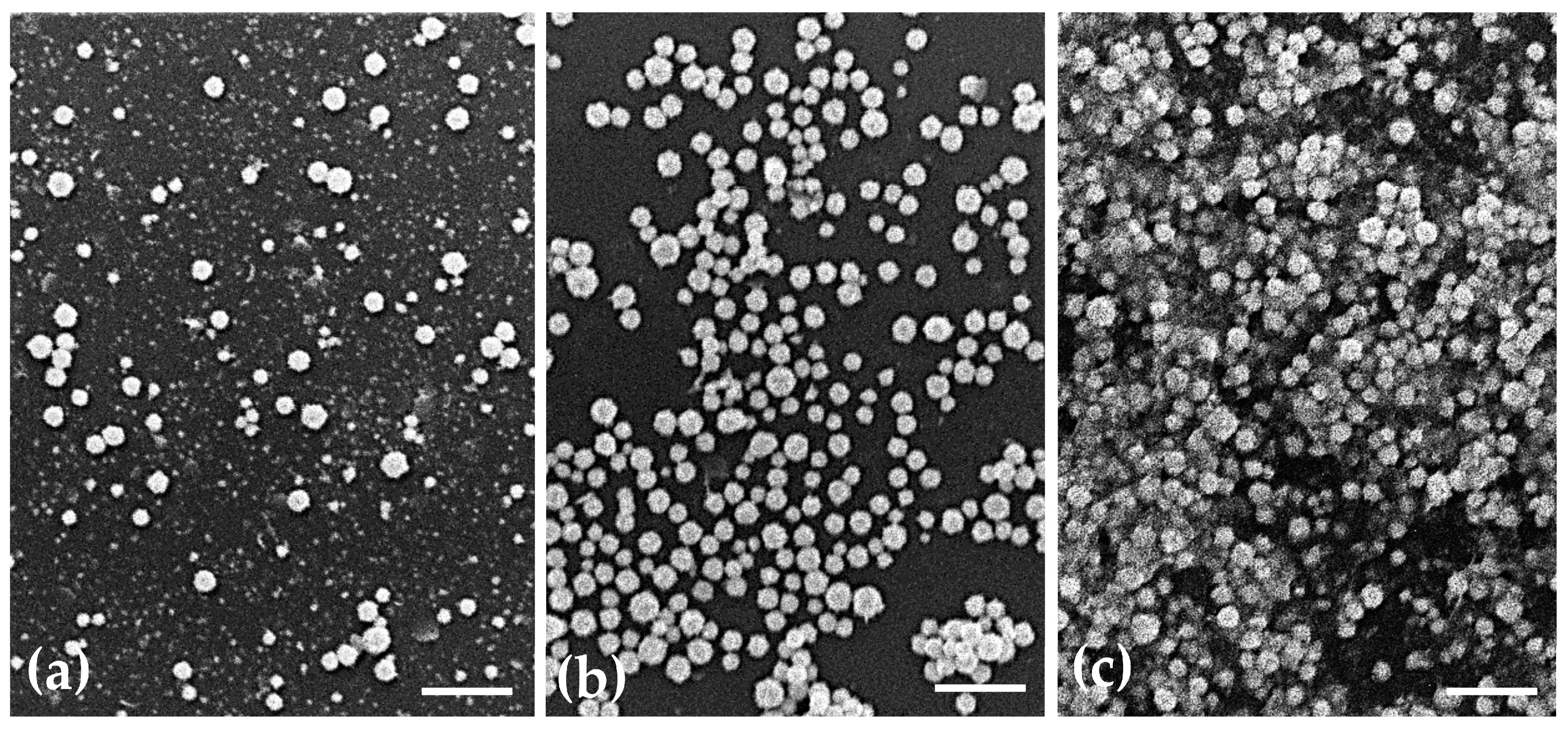 Pharmaceutics 15 01120 g003
