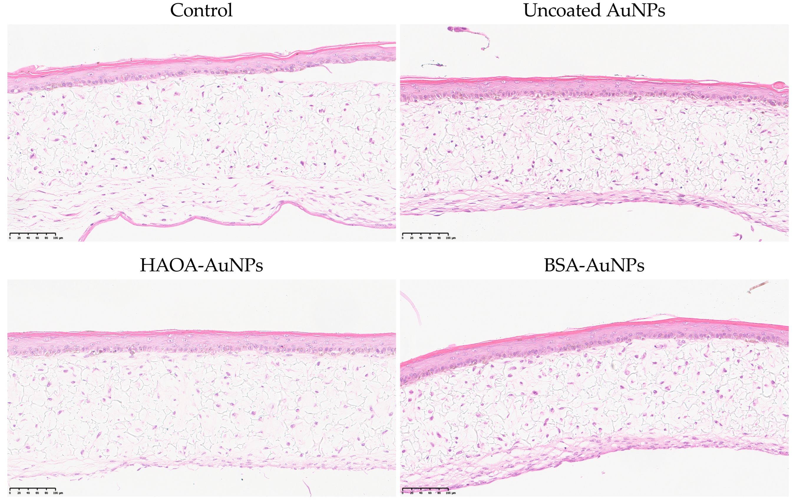 Pharmaceutics 15 01120 g005