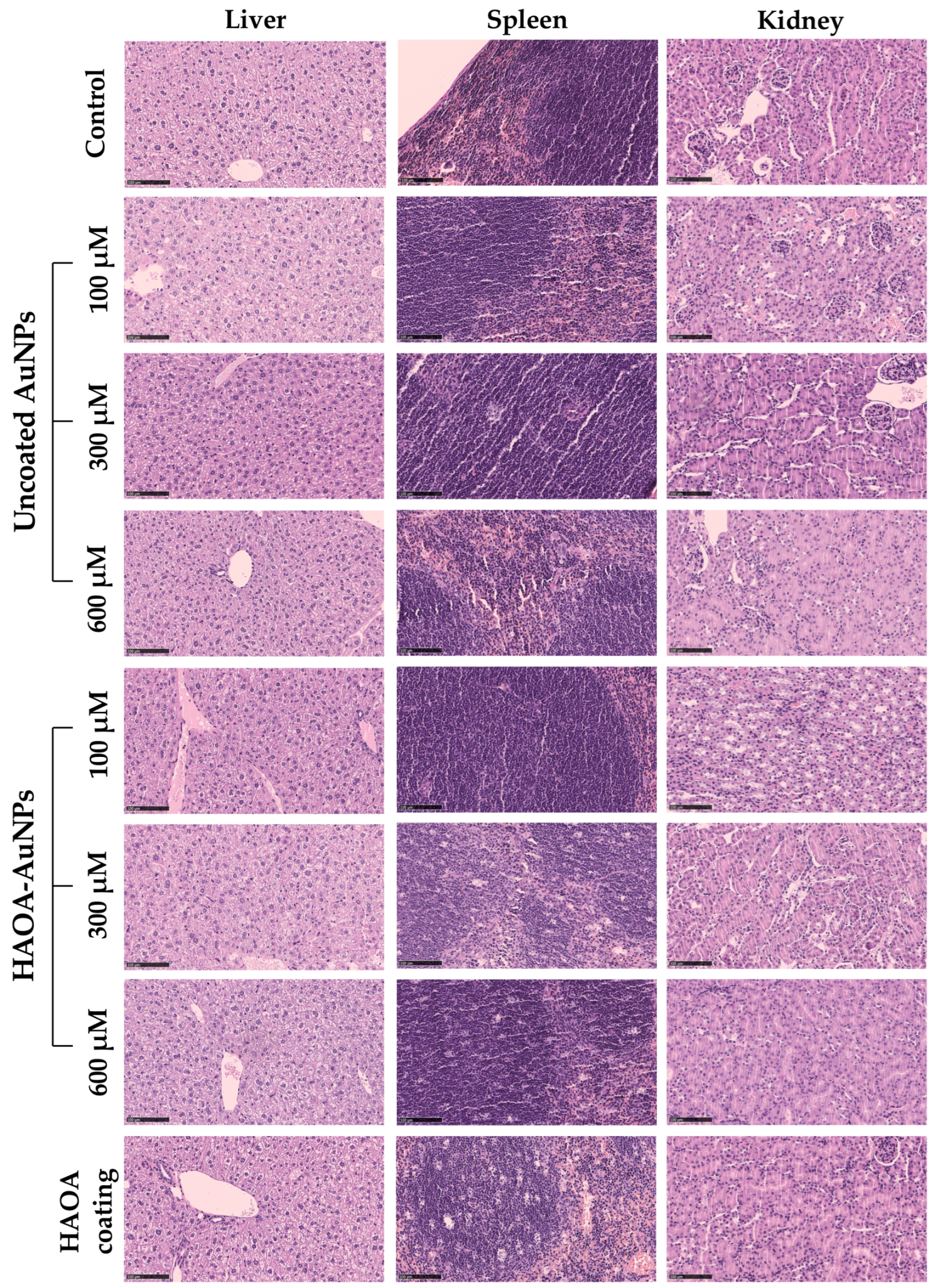 Pharmaceutics 15 01120 g008