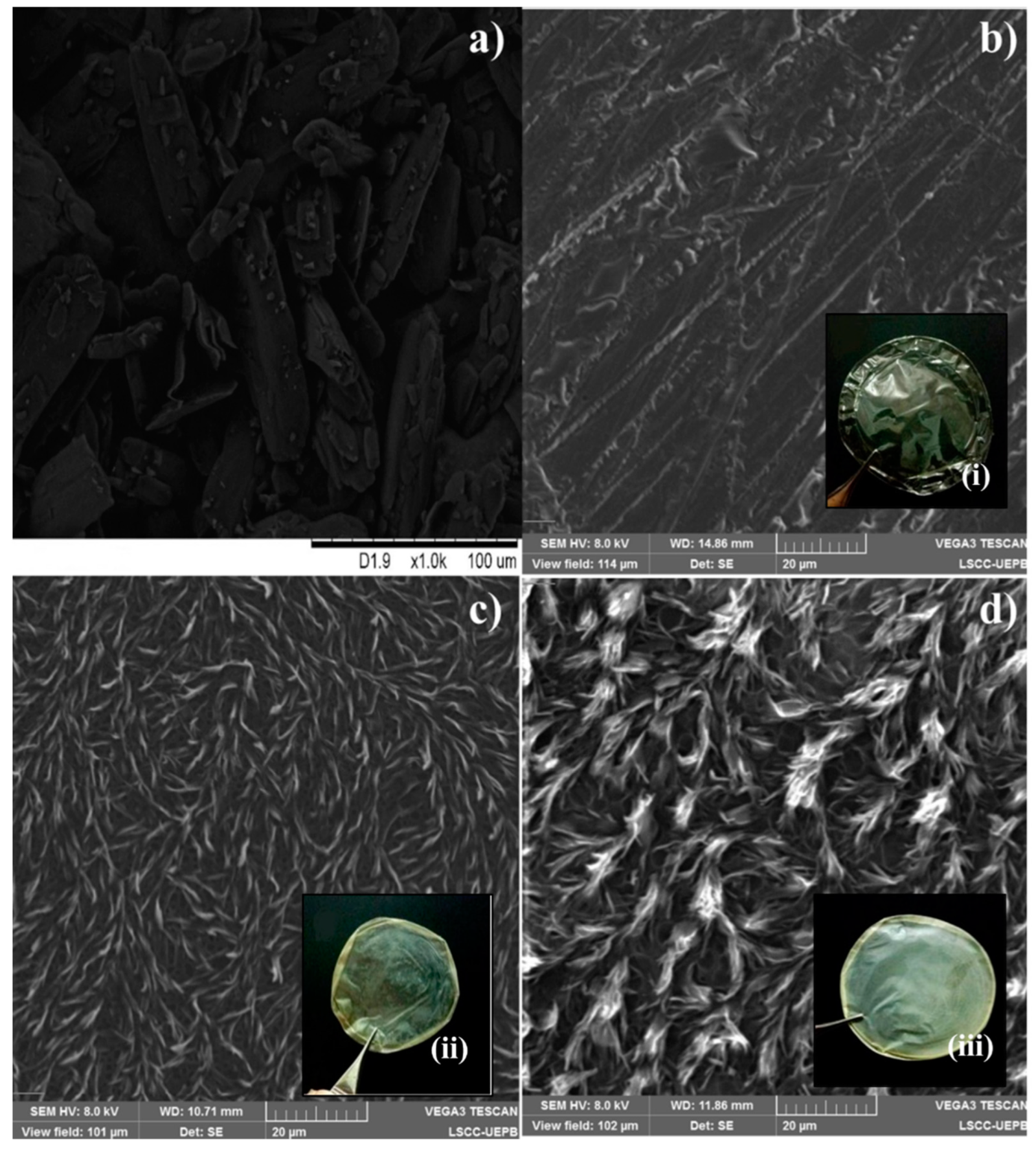 Pharmaceutics 15 01122 g001 Pharmaceutics 15 01122 g001