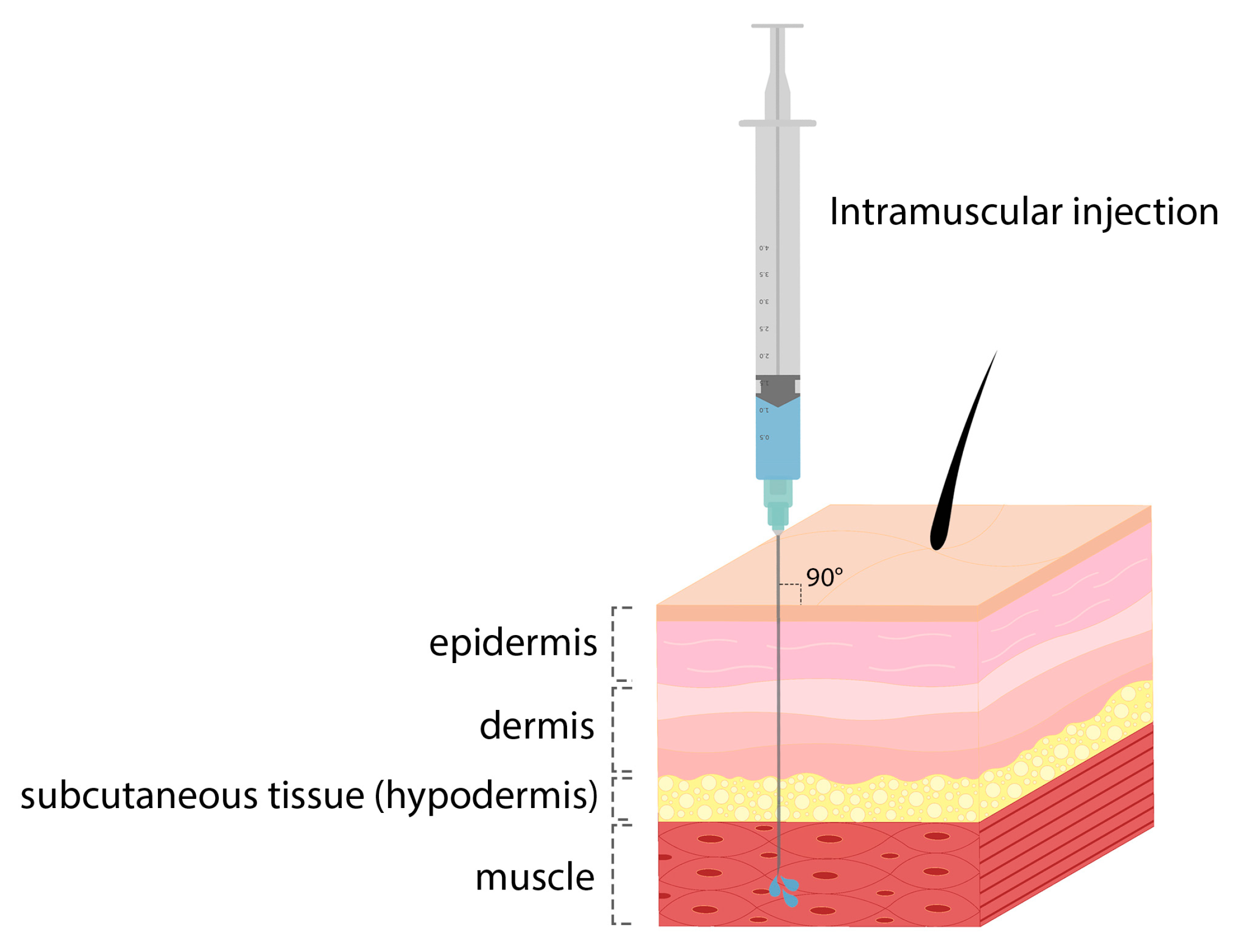 Pharmaceutics 15 01127 g008